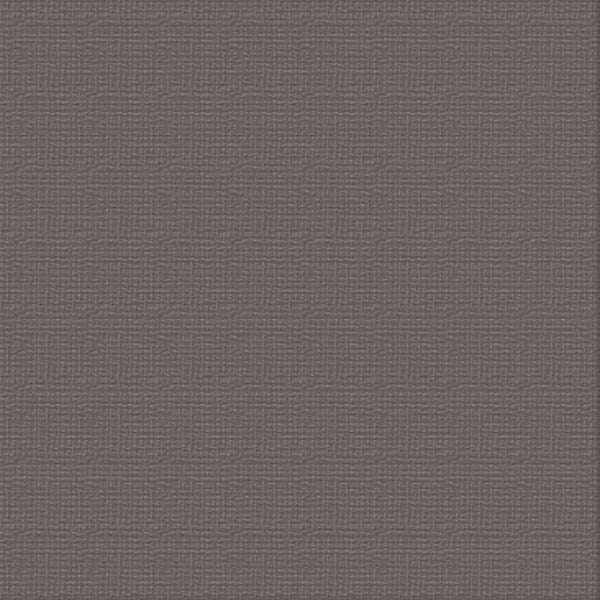 CC 12x12 Textured Cardstock 216gsm - CHASM Pk10