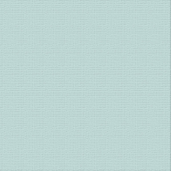 CC 12x12 Textured Cardstock 216gsm - BLUE JAY Pk10