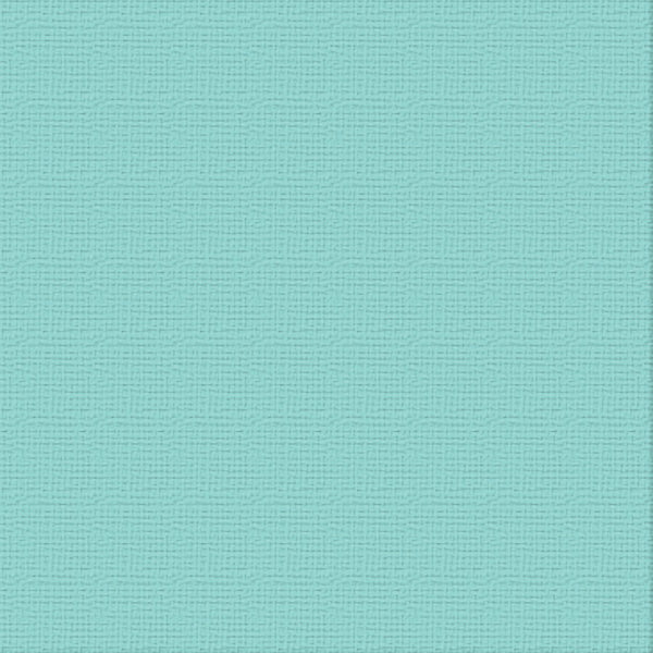 CC 12x12 Textured Cardstock 216gsm - CASCADE Pk10