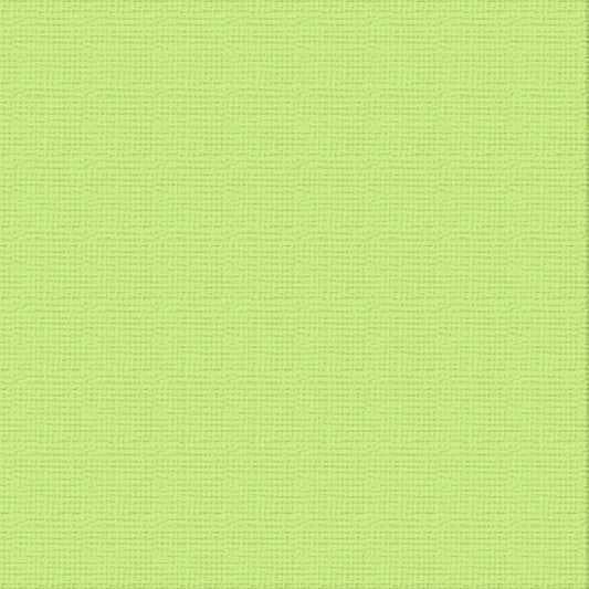 CC 12x12 Textured Cardstock 216gsm - MANTIS Pk10
