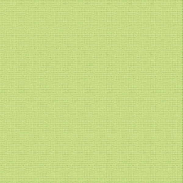 Cardstock - 12x12 - Mantis (250gsm)