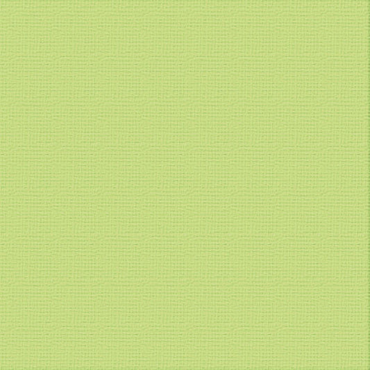 Cardstock - 12x12 - Mantis (250gsm)