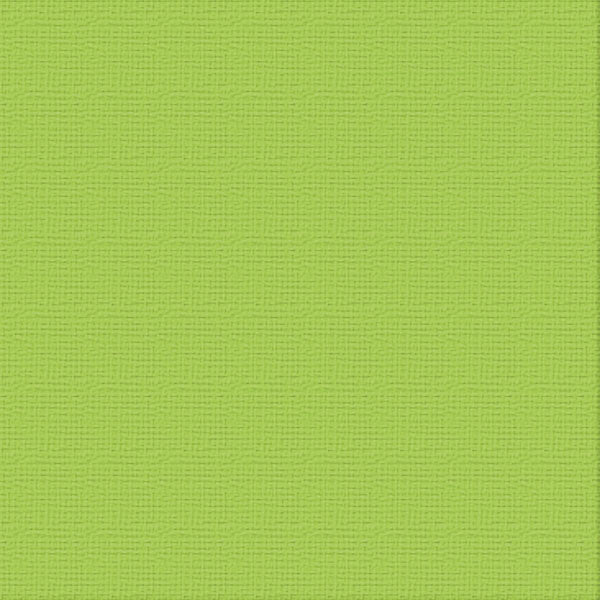 Cardstock - 12x12 - Chrysalis (250gsm)