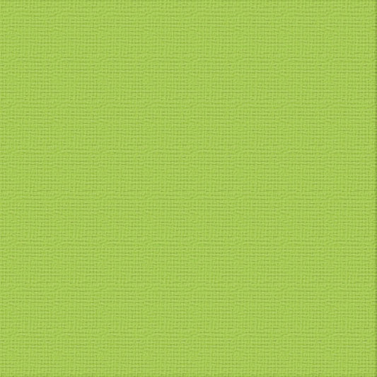 Cardstock - 12x12 - Chrysalis (250gsm)