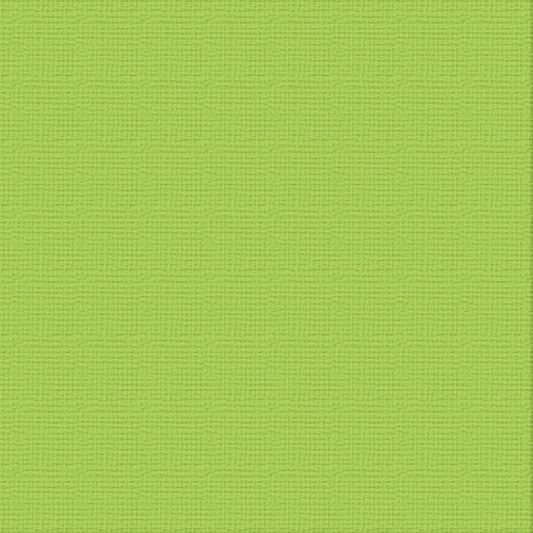 CC 12x12 Textured Cardstock 216gsm - CHRYSALIS Pk10