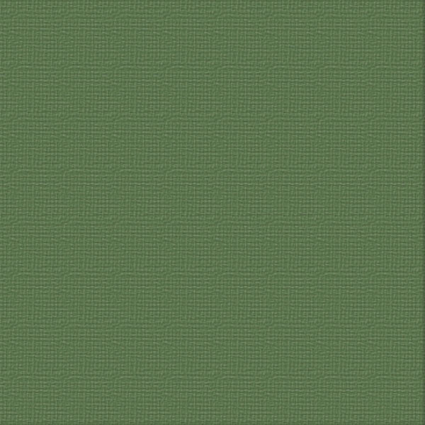 Cardstock - 12x12 - Cypress Pine (250gsm)