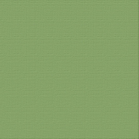 Cardstock - 12x12 - Lush (216gsm)