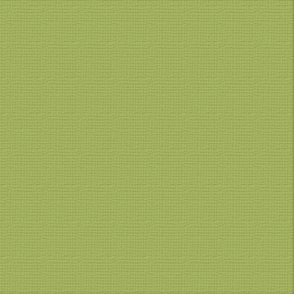 Cardstock - 12x12 - Olive Grove (216gsm)