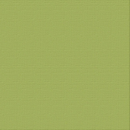 Cardstock - 12x12 - Olive Grove (216gsm)