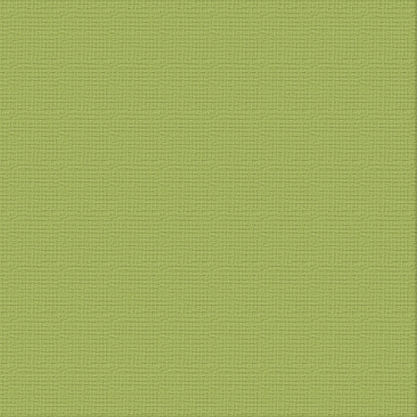 CC 12x12 Textured Cardstock 216gsm - OLIVE GROVE Pk10