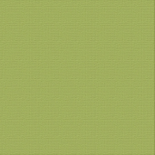 CC 12x12 Textured Cardstock 216gsm - OLIVE GROVE Pk10
