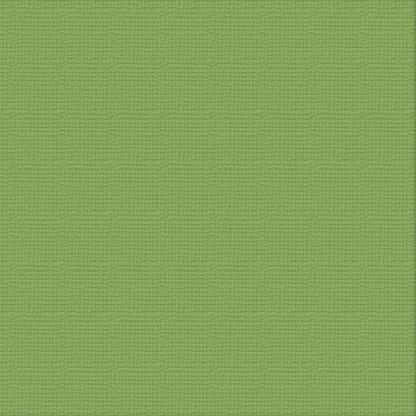 Cardstock - 12x12 - Jungle (250gsm)