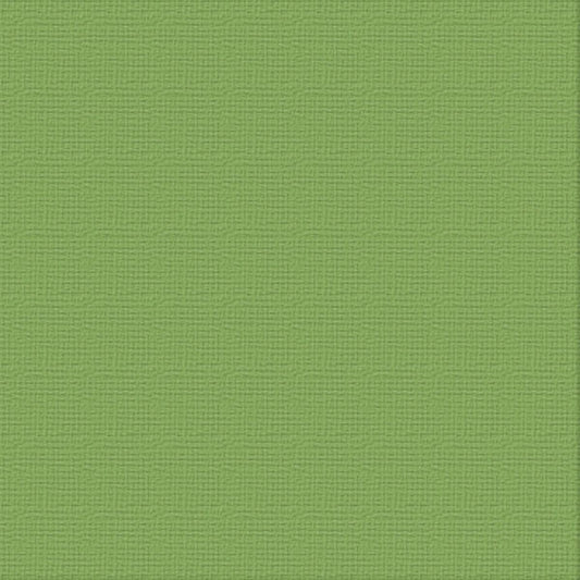 Cardstock - 12x12 - Jungle (250gsm)