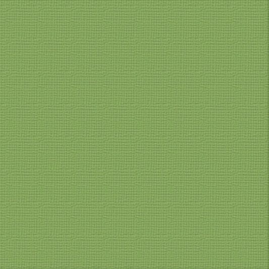 CC 12x12 Textured Cardstock 216gsm - JUNGLE Pk10