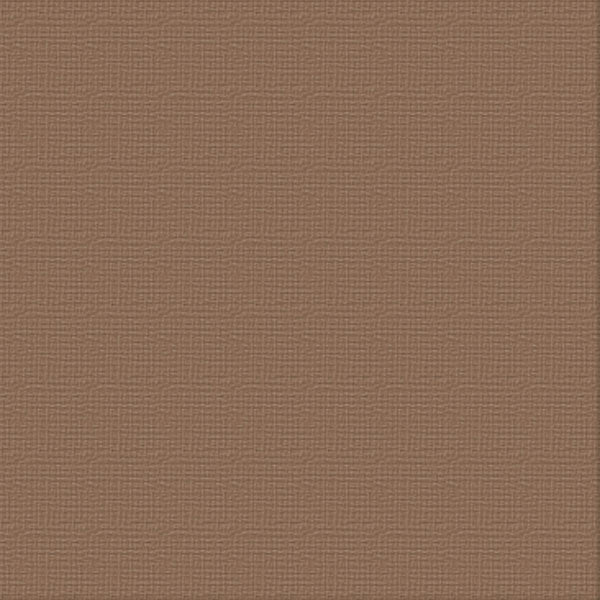 Cardstock - 12x12 - Fencepost (250gsm)