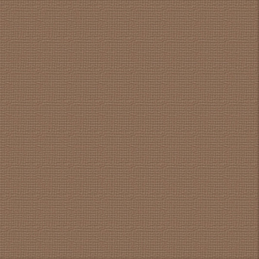 CC FENCEPOST 12x12 Premium Cardstock Pk10