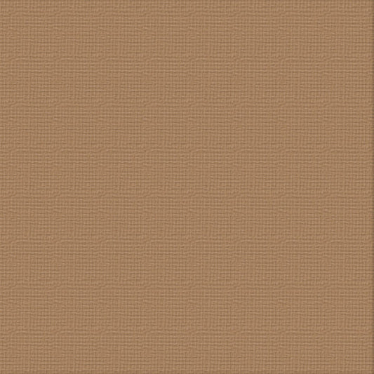 CC 12x12 Textured Cardstock 216gsm - MOCHA Pk10