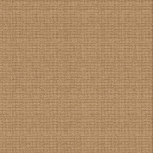 CC 12x12 Textured Cardstock 216gsm - CINNAMON Pk10