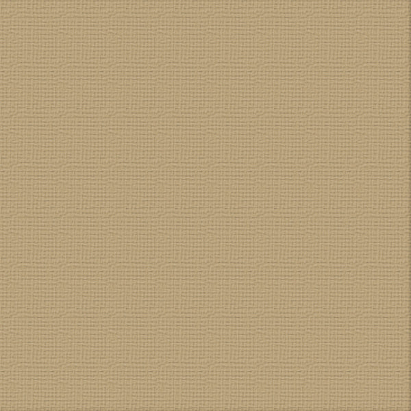 CC 12x12 Textured Cardstock 216gsm - PAPER BAG Pk10