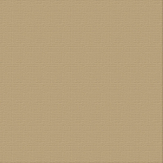 CC 12x12 Textured Cardstock 216gsm - PAPER BAG Pk10