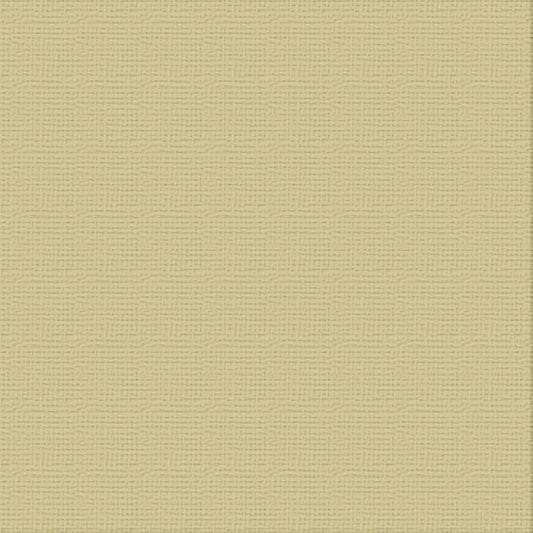CC 12x12 Textured Cardstock 216gsm - DRIFTWOOD Pk10