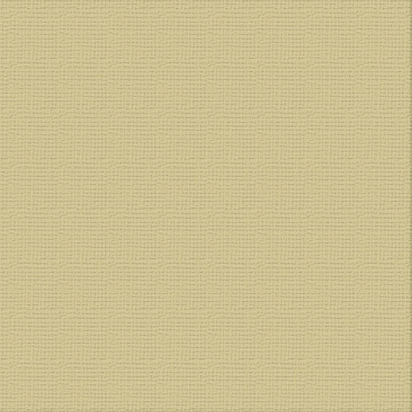 Cardstock - 12x12 - Driftwood (250gsm)