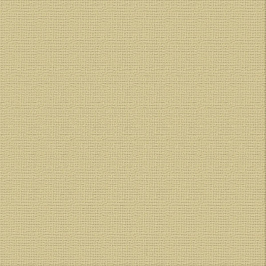 Cardstock - 12x12 - Driftwood (250gsm)