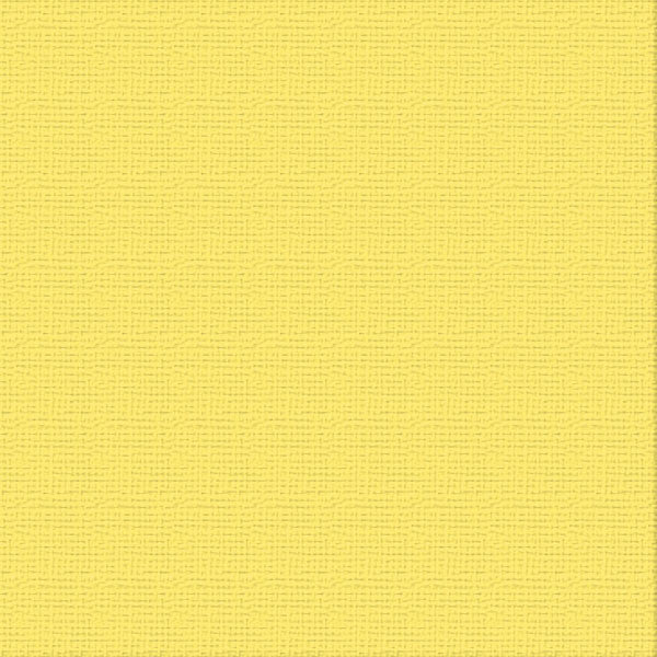 Cardstock - 12x12 - Raincoat (216gsm)