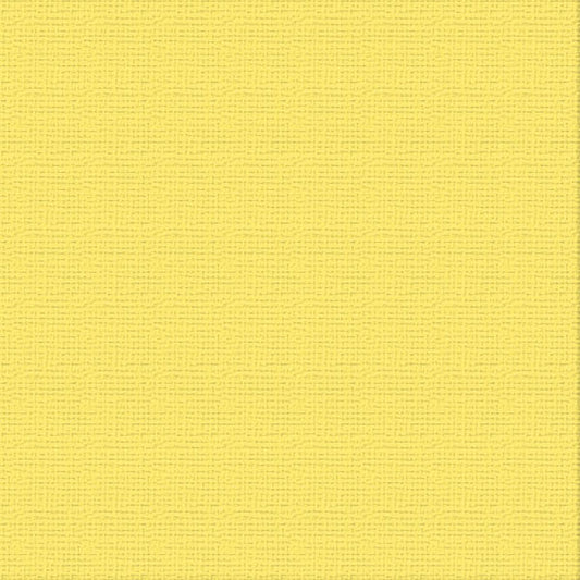 Cardstock - 12x12 - Raincoat (216gsm)