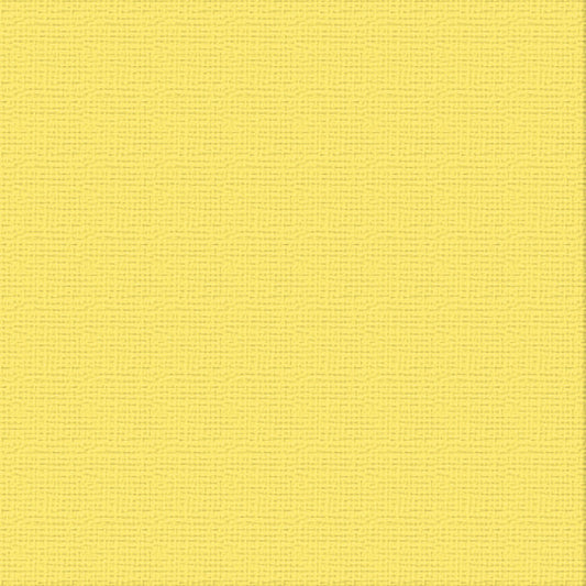 CC 12x12 Textured Cardstock 216gsm - RAINCOAT Pk10