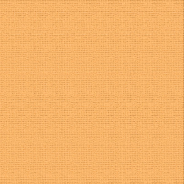 Cardstock - 12x12 - Lantana (250gsm)