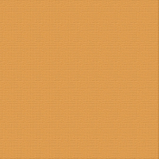 CC 12x12 Textured Cardstock 216gsm - HARVEST Pk10