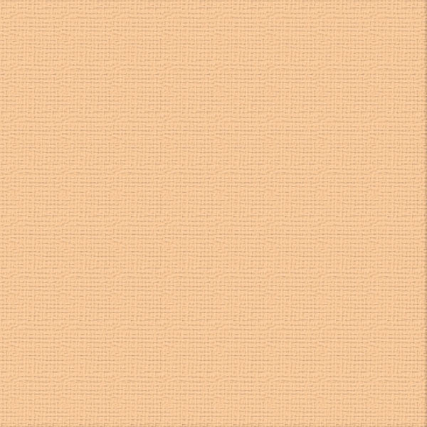 Cardstock - 12x12 - Cantelaupe (250gsm)