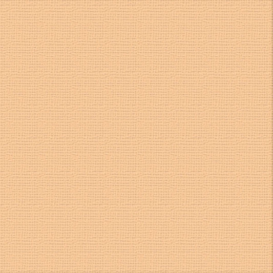 Cardstock - 12x12 - Cantelaupe (250gsm)