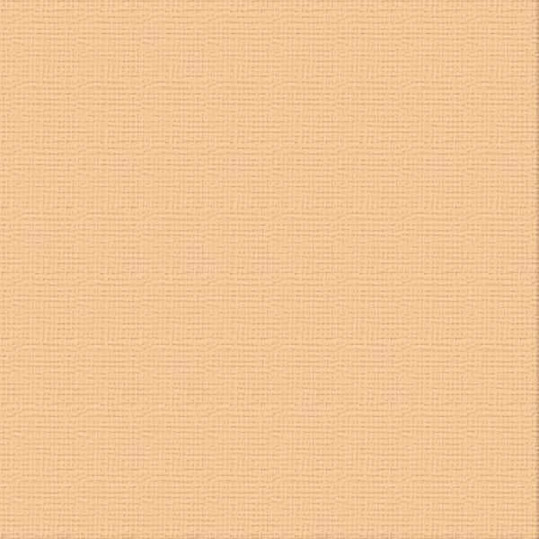 CC 12x12 Textured Cardstock 216gsm - CANTELAUPE Pk10
