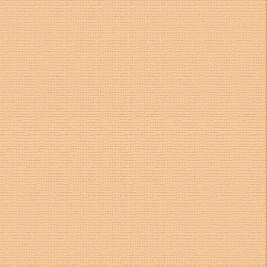 CC 12x12 Textured Cardstock 216gsm - CANTELAUPE Pk10