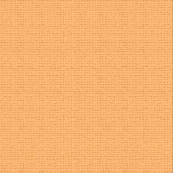 Cardstock - 12x12 - Temptress (250gsm)