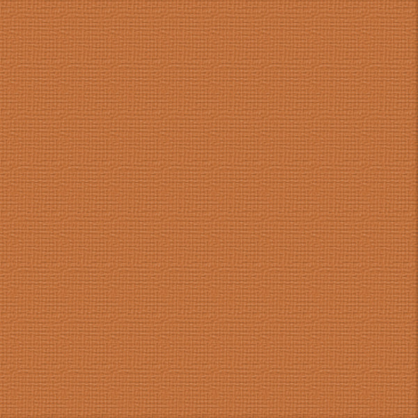 cc 12x12 Textured Cardstock 216gsm - BURNT SIENNA Pk10