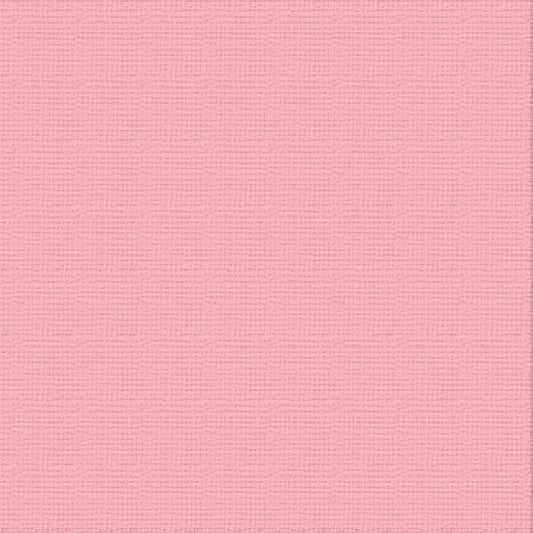 PRECIOUS A4 Premium Cardstock PK10