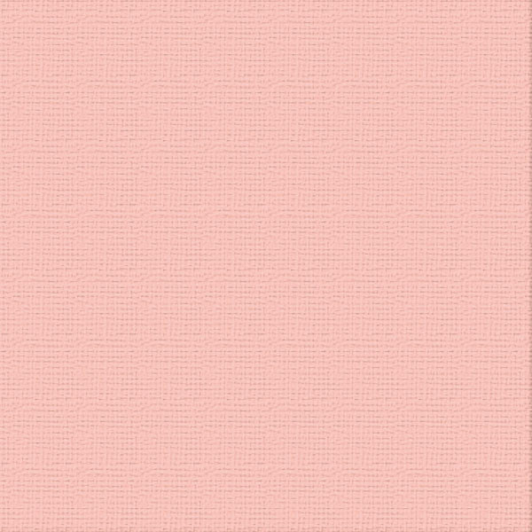 Cardstock - 12x12 - Fairy Wings (216gsm)