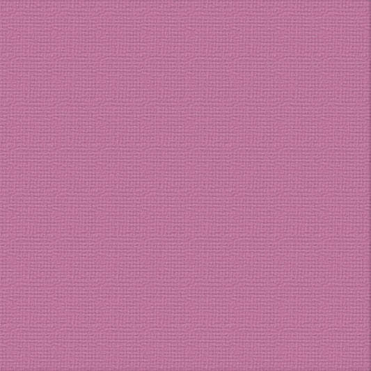 Cardstock - 12x12 - Divine (250gsm)