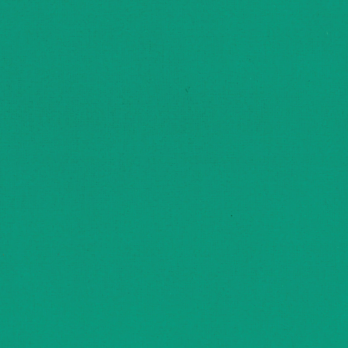 CC Textured Cardstock - 12x12 - Verdigris Green (216gsm) - 10 Sheets