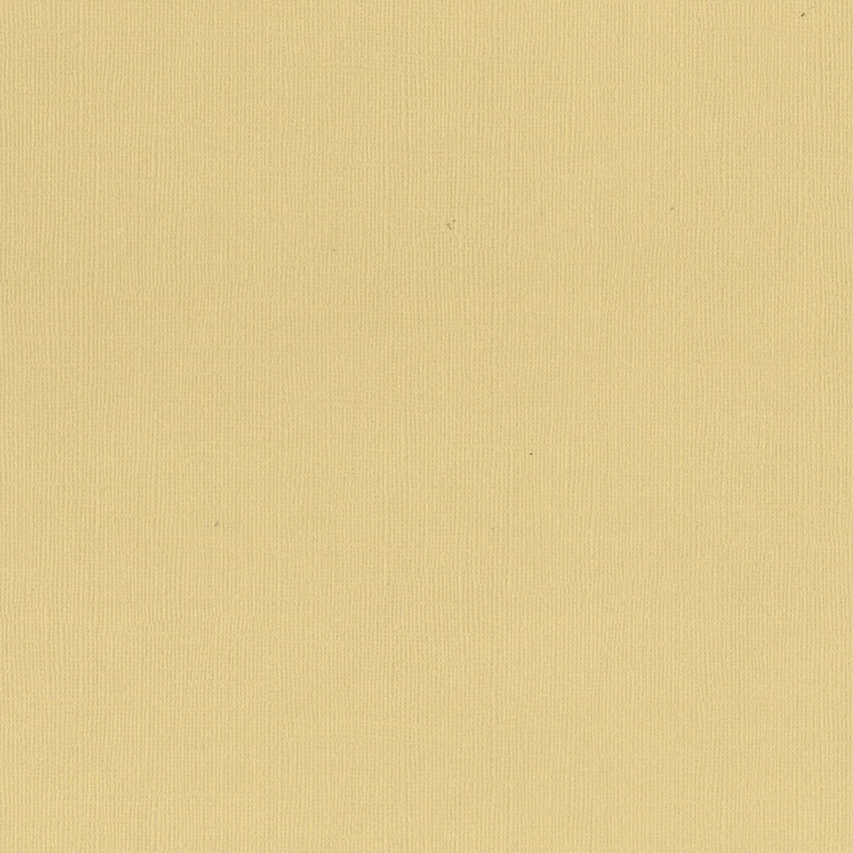 CC Textured Cardstock - 12x12 - Oat (216gsm) - 10 Sheets