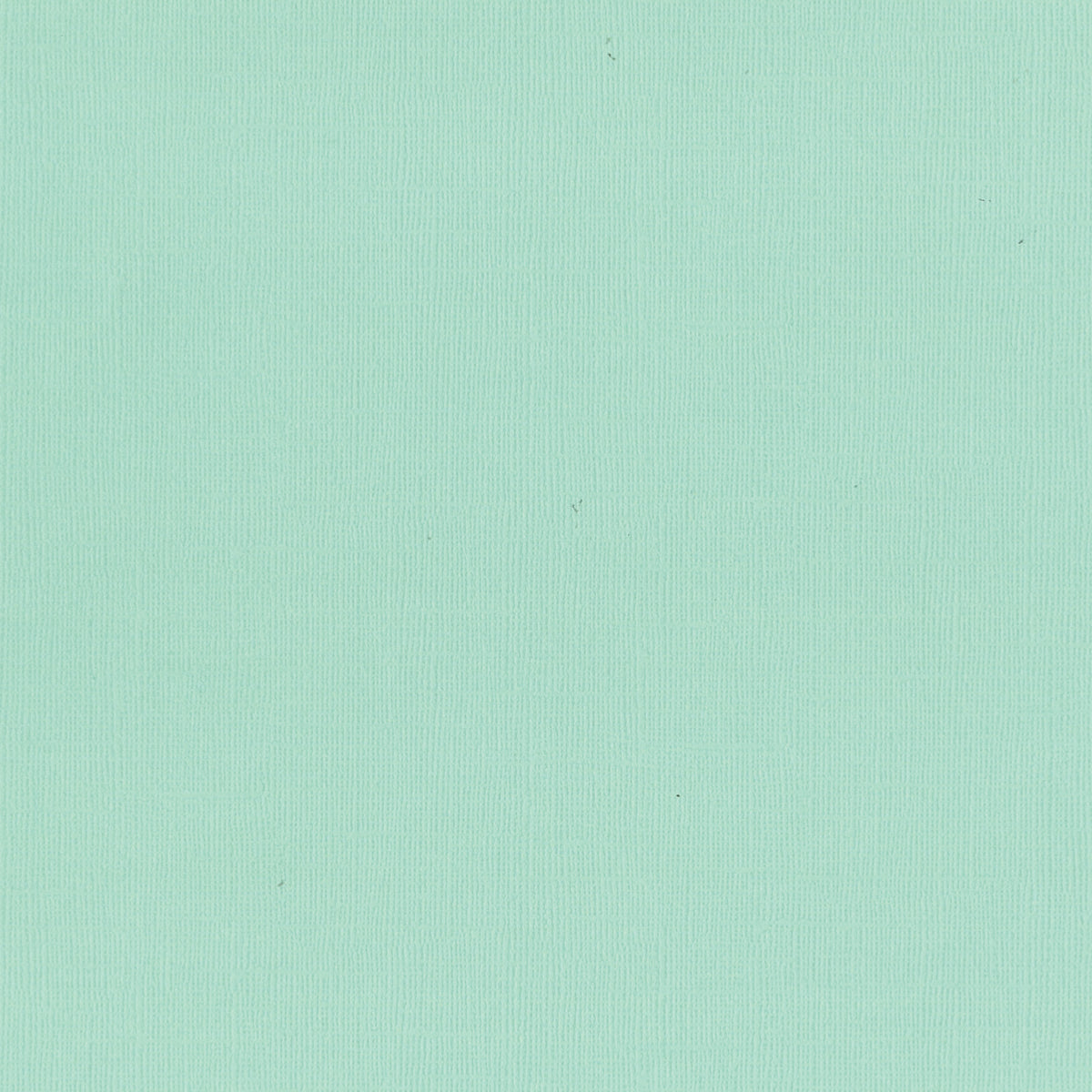 CC Textured Cardstock - 12x12 - Bubbly (216gsm) - 10 Sheets