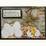 Eyelet Outlet Baby Chick Brads Pk12